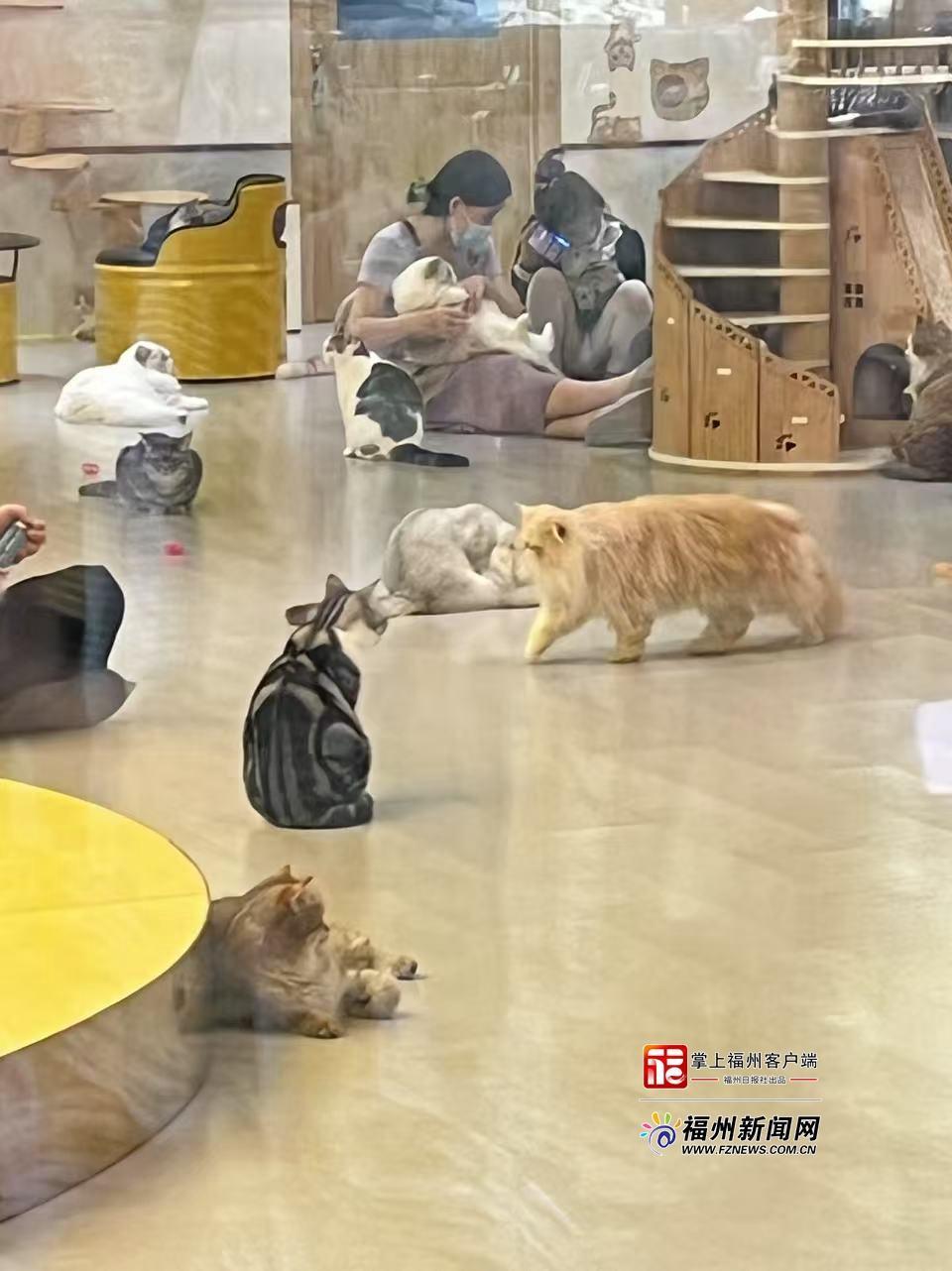追新看点丨太会玩了！这届年轻人如何哄自己开心？