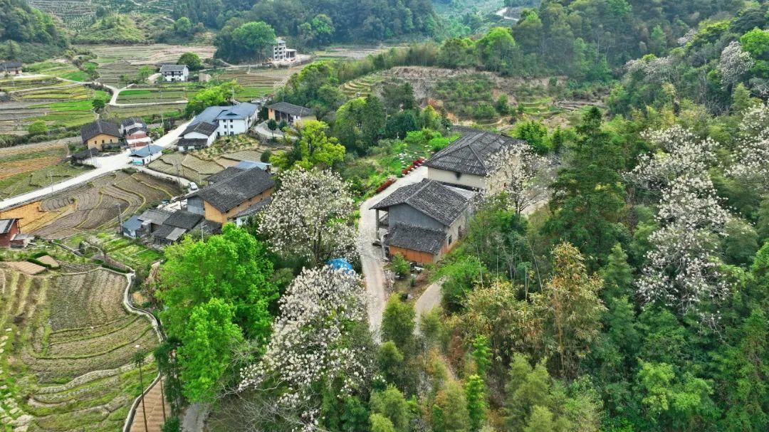 闽清梅溪镇石郑村：古韵新风 绘就生态人文新画卷