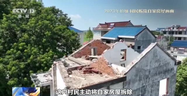 千百岁的古树年龄怎么测出来的？这些绿色“古董”认识一下