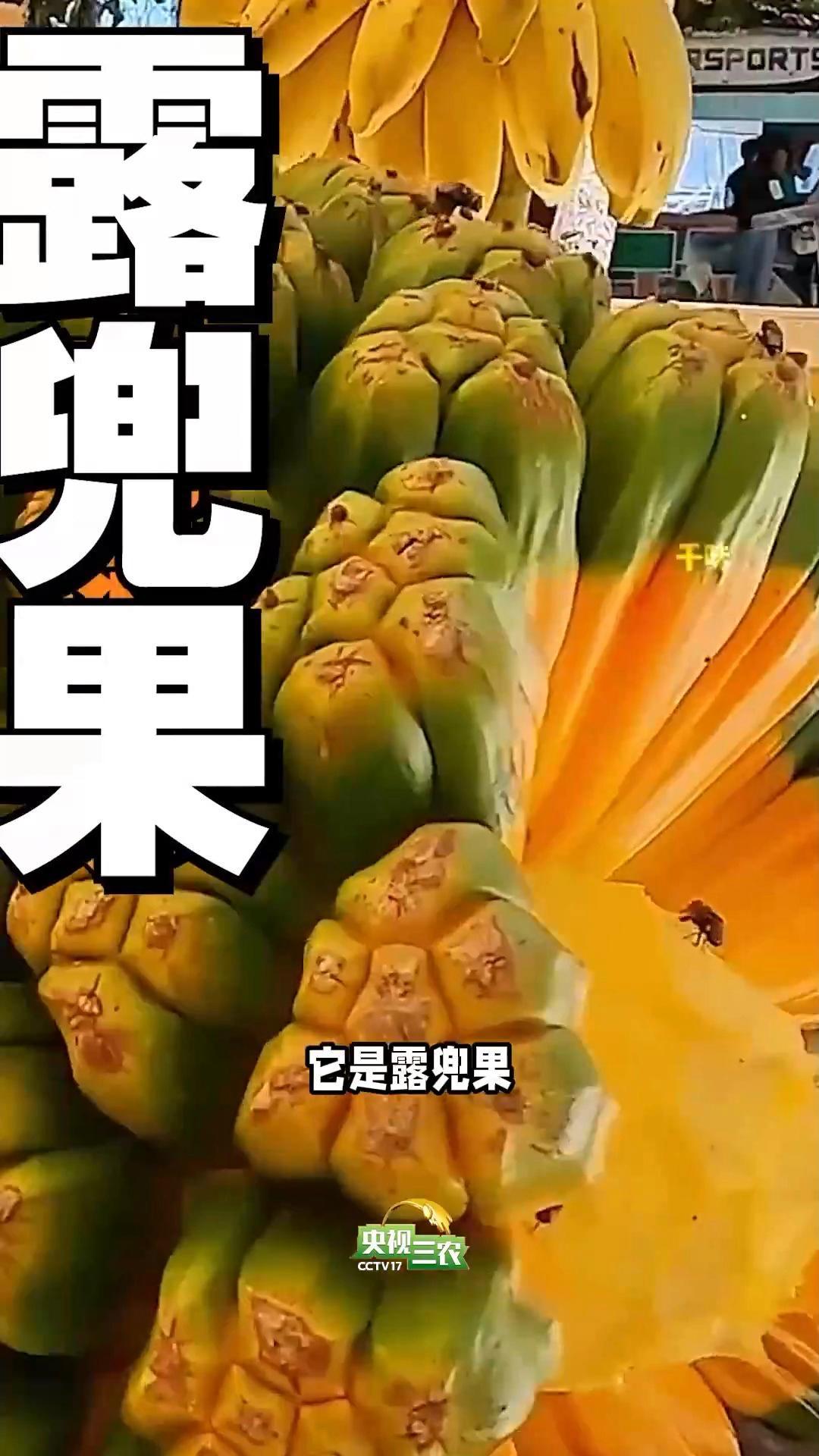 这几种“奇葩果” 买了就后悔