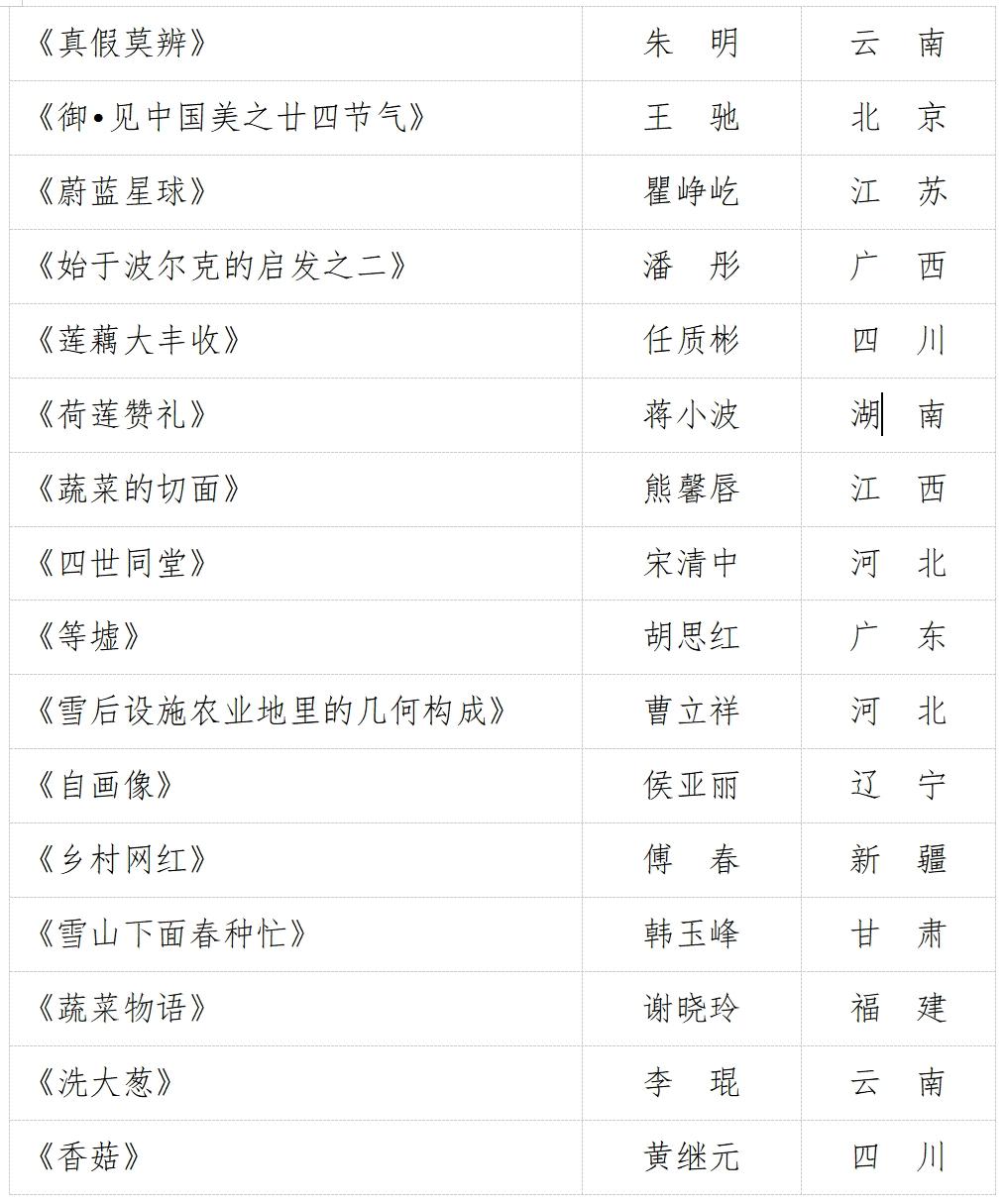 创意佳作2.png