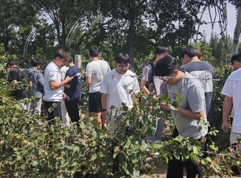 2215555498427127.jpg 11.28 1-4.jpg