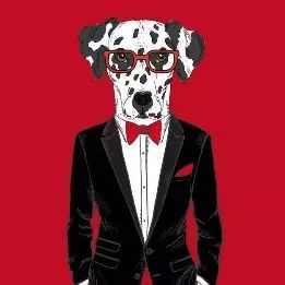 抖音2019必备新年头像