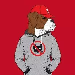 抖音2019必备新年头像