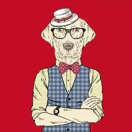 抖音2019必备新年头像