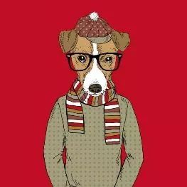 抖音2019必备新年头像