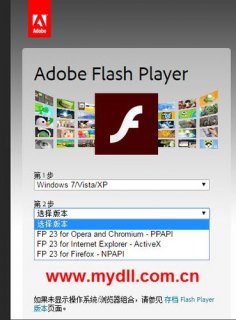  笔记本flashplayer官方下载「笔记本flash插件怎么启用」-图2